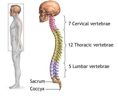 Afectiuni ale coloanei vertebrale si spatelui