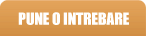 tab pune o intrebare
